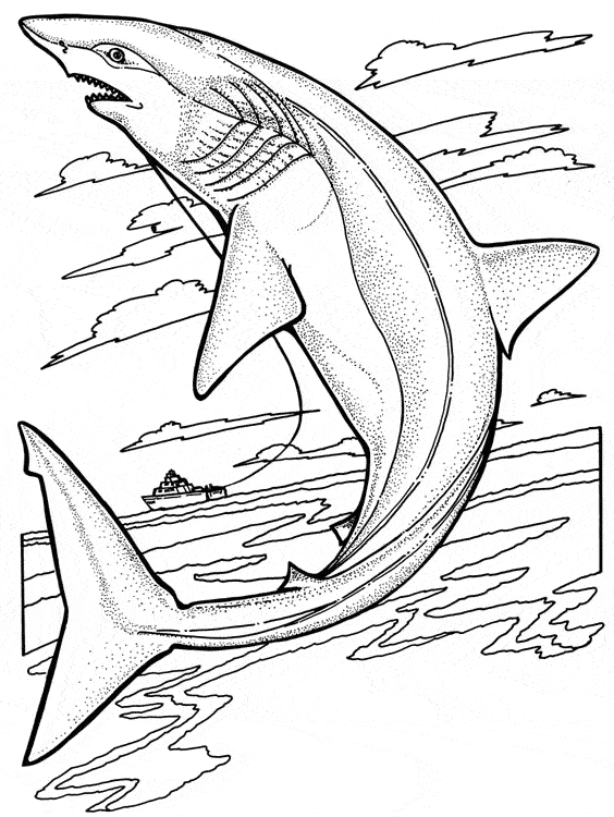 Rekin kolorowanki